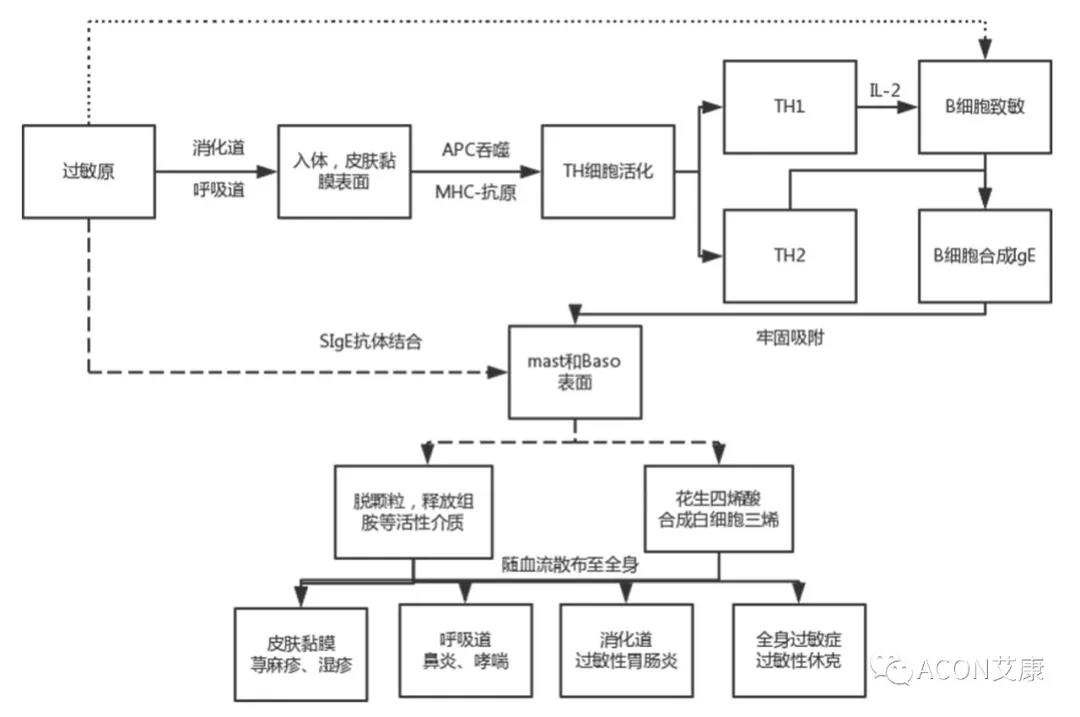 APAAACI 2019 | 深入解讀過敏原：從診斷到治療，優(yōu)化過敏原診斷管理——艾康生物過敏原檢測分會