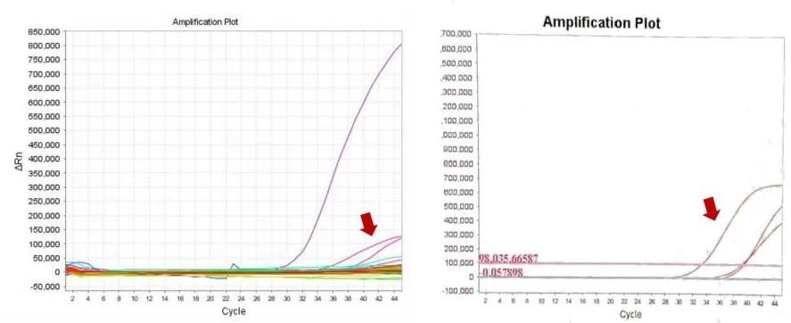 微信圖片_20220214084846.jpg 微信圖片_20220214084846.jpg
