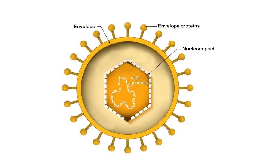 微信圖片_20230704093116.jpg 微信圖片_20230704093116.jpg
